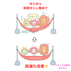 骨盤底筋群