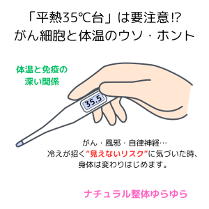 ウソホント