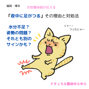 あしつり理由